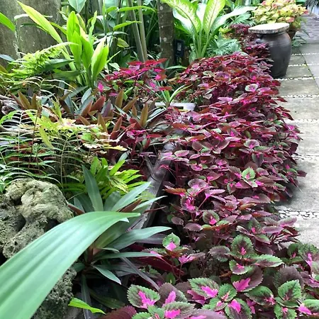 Sunny Garden Homestay Hoi An Exterior photo