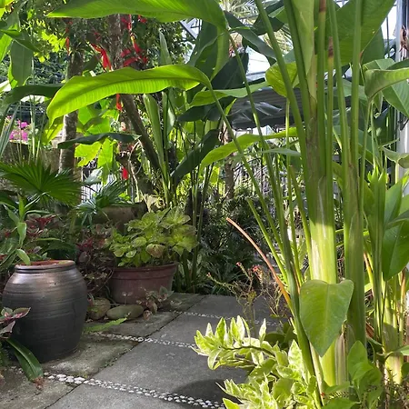 Sunny Garden Homestay Hoi An Room photo