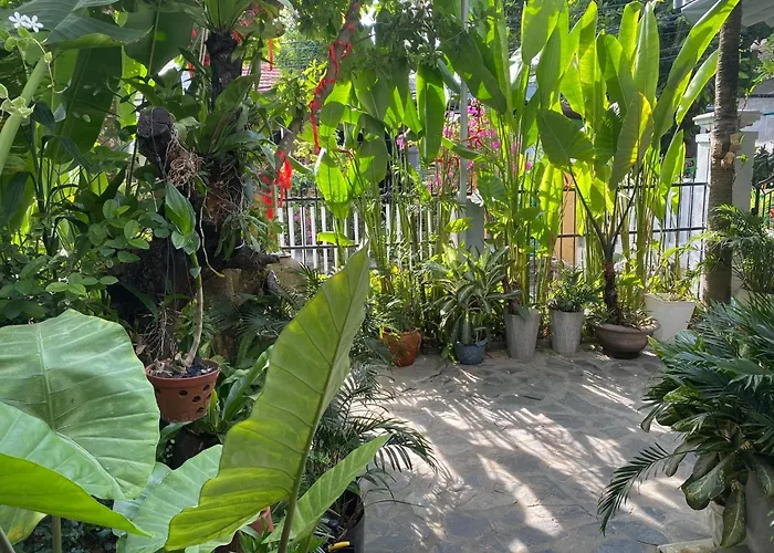 Sunny Garden Homestay