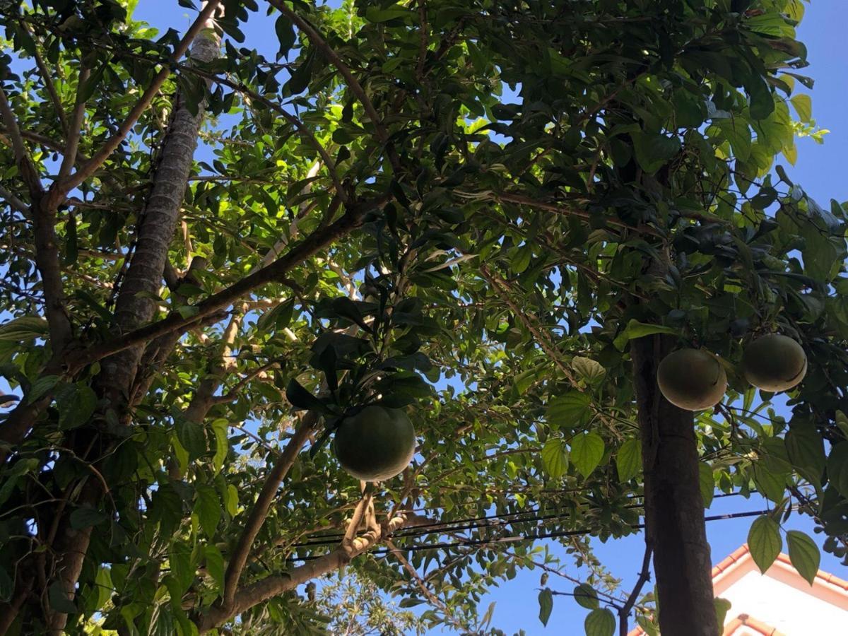 Homestay Sunny Garden Hoi An