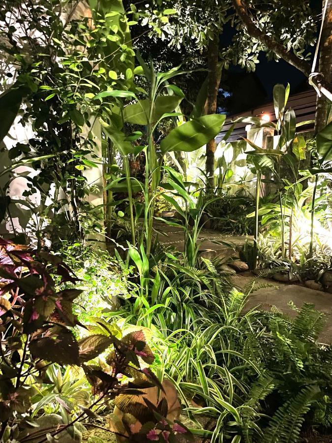 Sunny Garden *