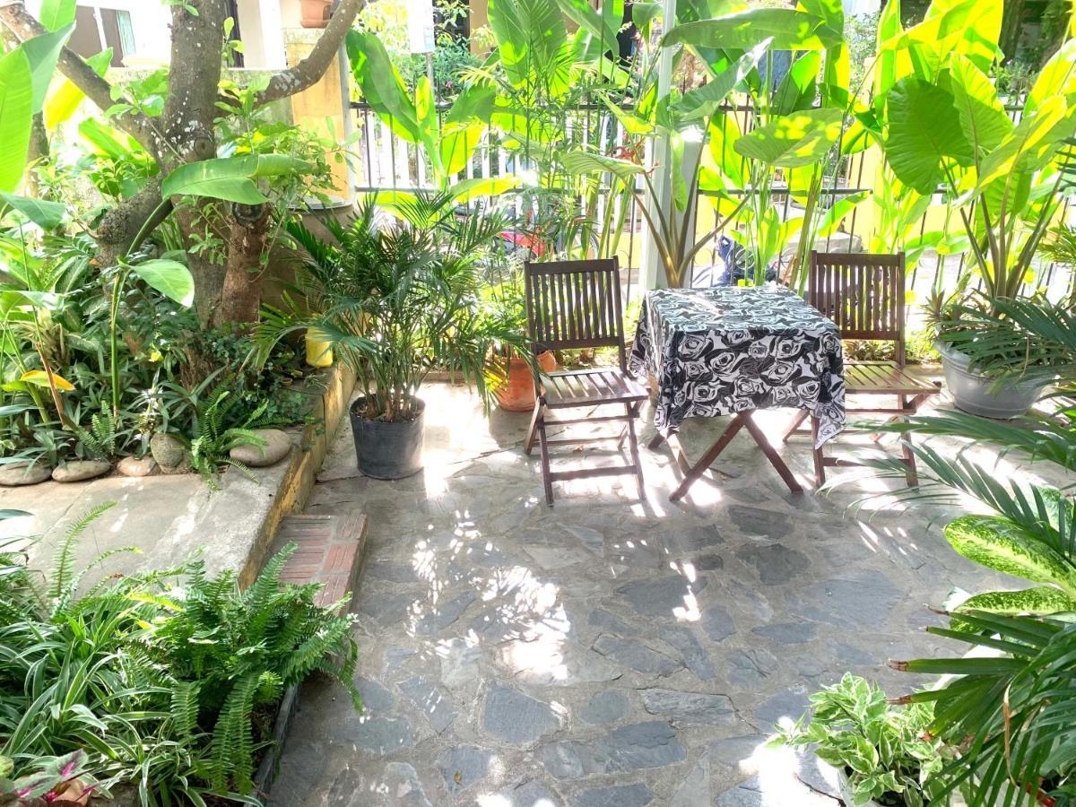 Sunny Garden