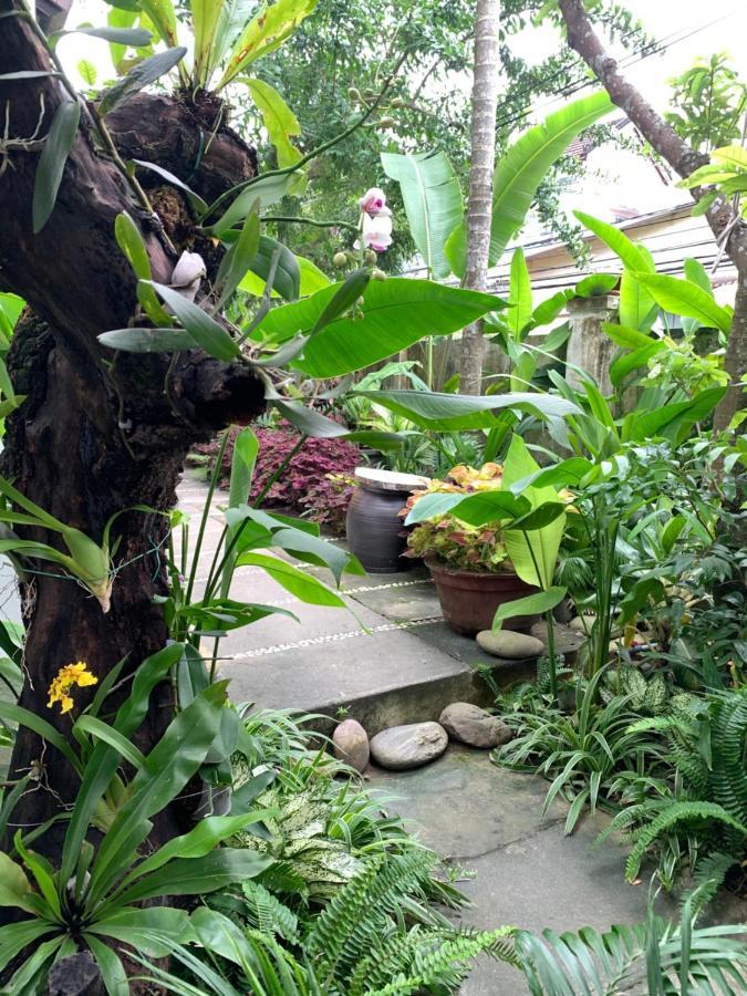 Homestay Sunny Garden *