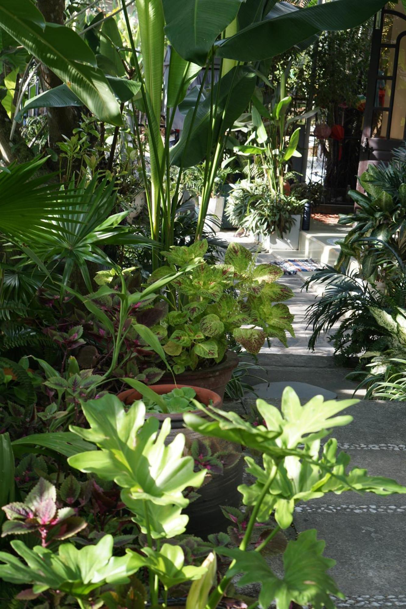 Sunny Garden Homestay *