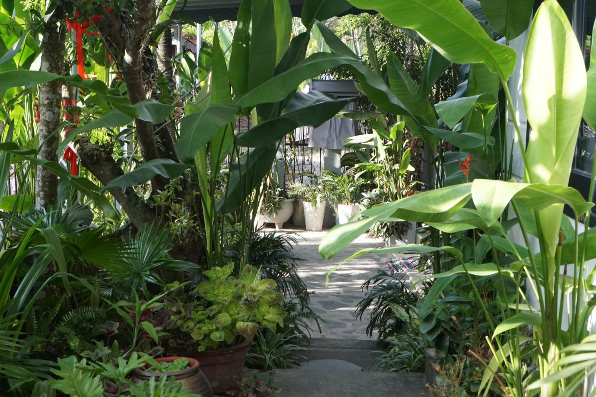 Sunny Garden *