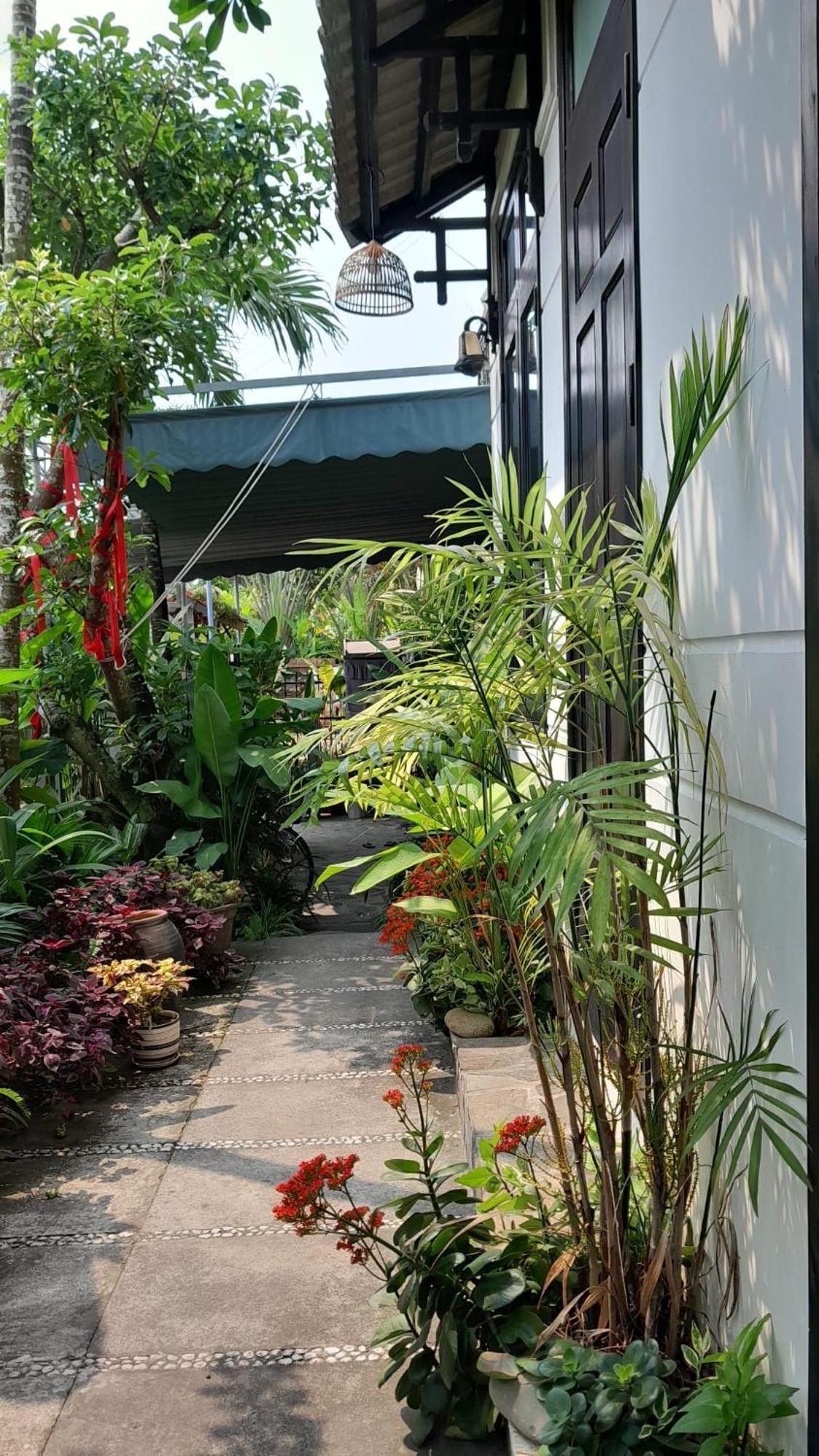 Homestay Sunny Garden