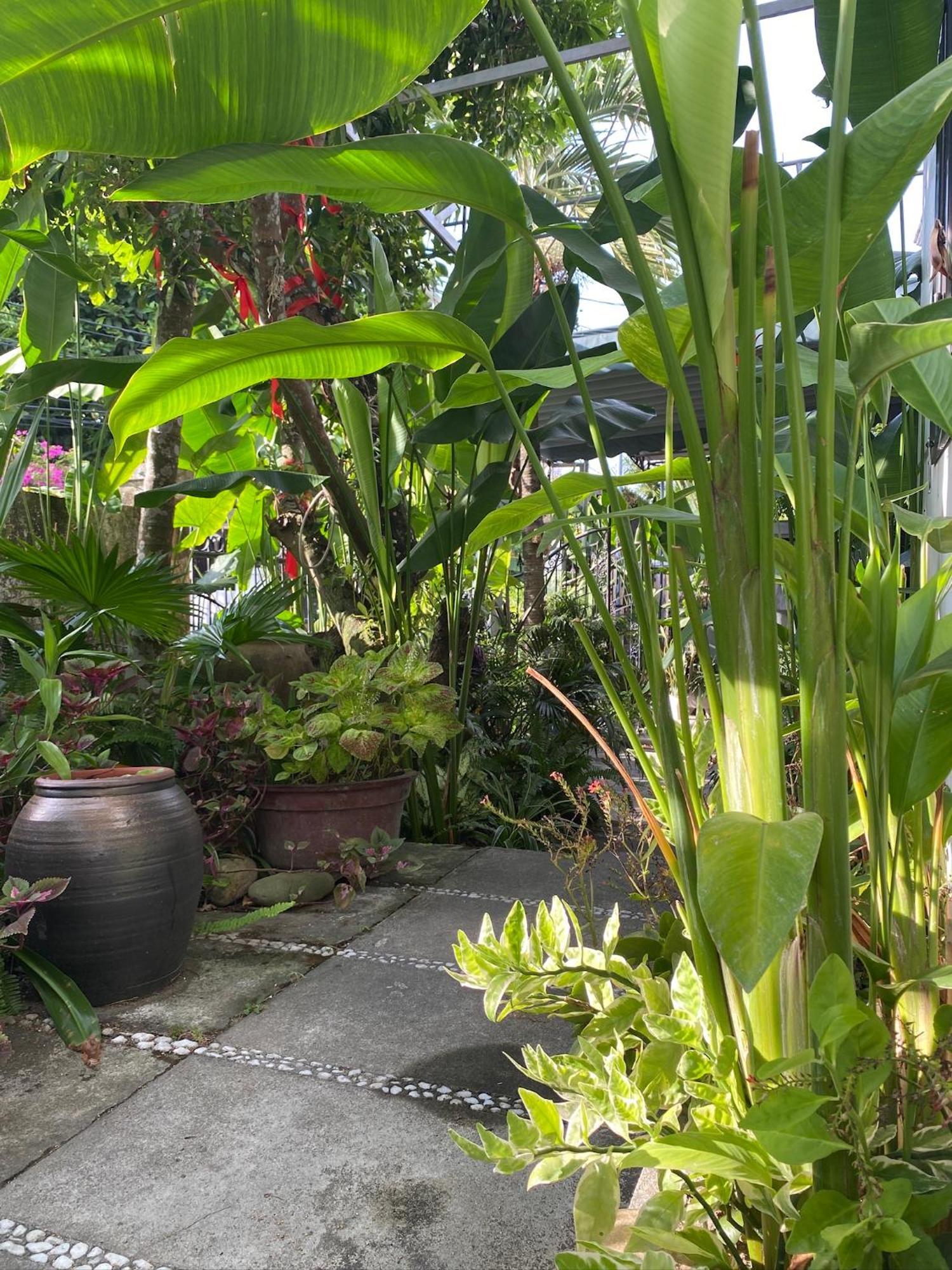 Sunny Garden *