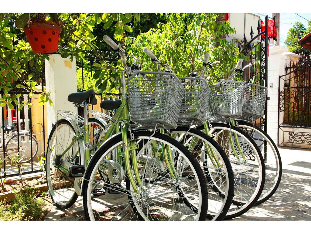 Sunny Garden Homestay *